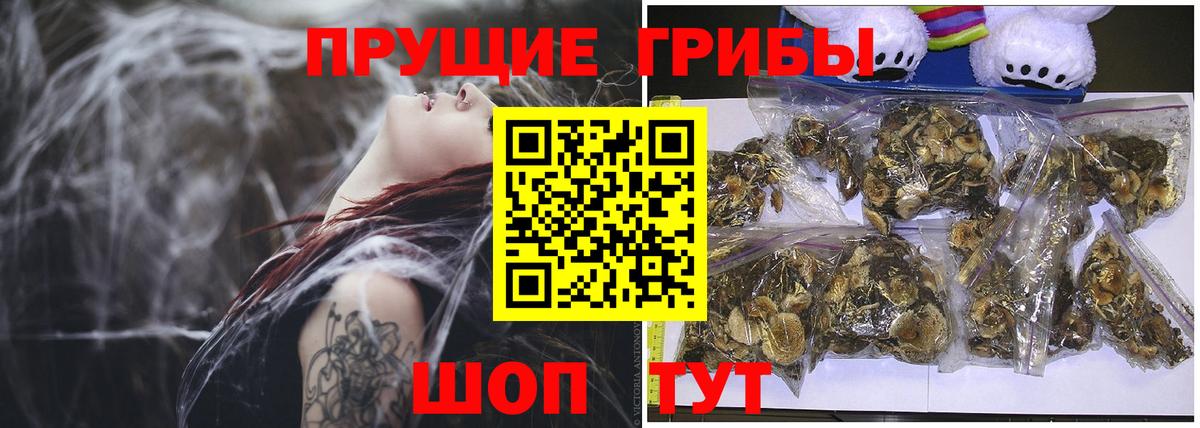 Галлюциногенные грибы Cubensis Вичуга