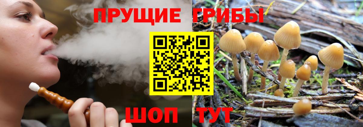 Галлюциногенные грибы мицелий  где продают наркотики  Вичуга  Вход с VPN 
